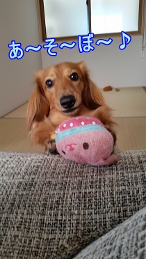 あそぼ♪