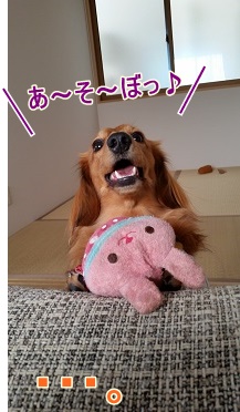 あそぼってば♪