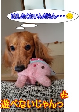 どっちやねん
