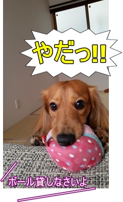 やだ!!