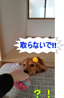 取るな