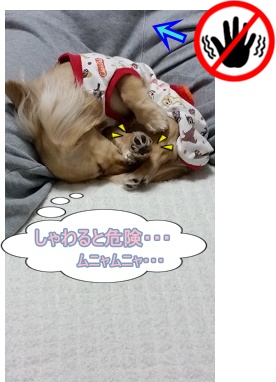 Dont Touch