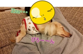 びろーーん