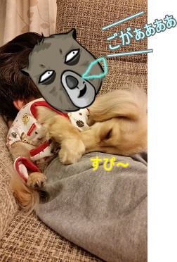 目開けたまま寝てるパパ