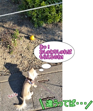 おすわりか。