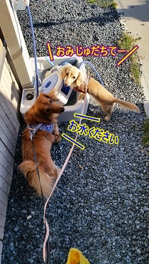 お水