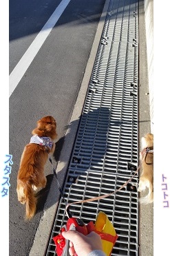 帰り道