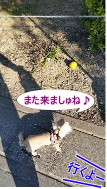 名残惜しゅう