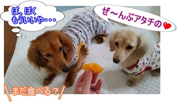 しめしめ♪