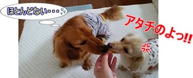 アタチのよ!!