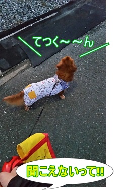 てつくーーーん