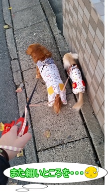 また細いところを・・・