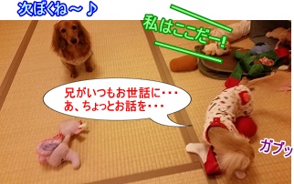 いいかみっぷり