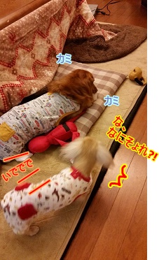 カミカミ