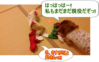現役ミドリーマン