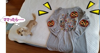 買っちゃった
