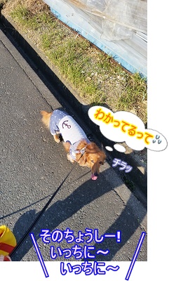 いっちにーいっちにー