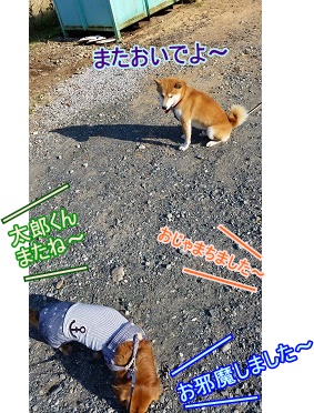 またね~