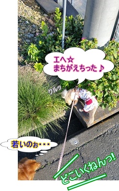 まちがえちった
