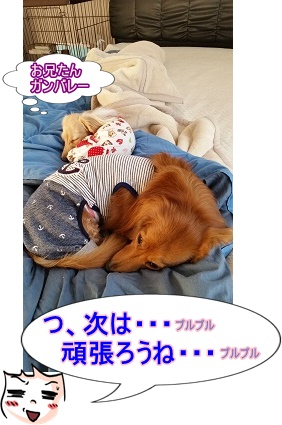 次こそは!