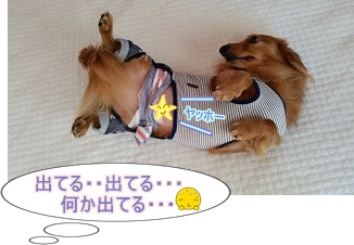 出てます