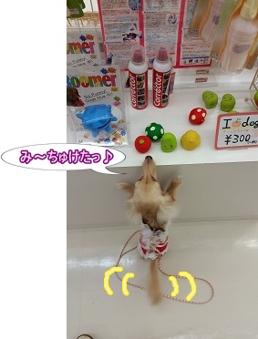 おもちゃ