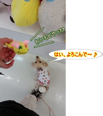 けむししゃーん