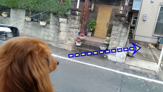 一発触発?