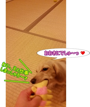 けむししゃーん