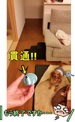 新たまごちゃん終了