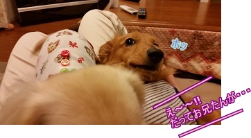 え~~!!