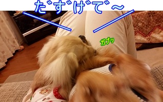 だずげで~!