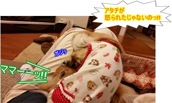 ママーッ!!