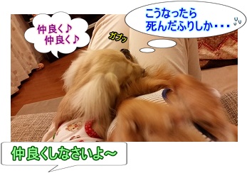 仲良く♪