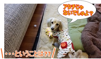 あたちじゃないよ?