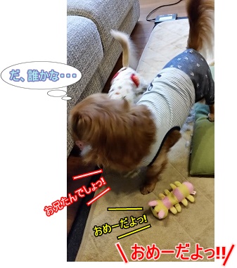 おめーだよ!