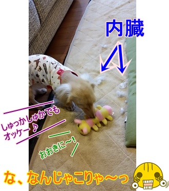 なんじゃこりゃ~っ