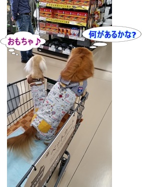 探索