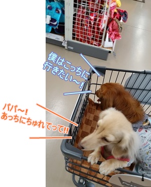 探索2