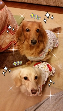 キラッキラ