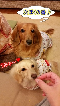 ちゃんこの番