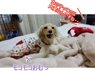 ヒート開始