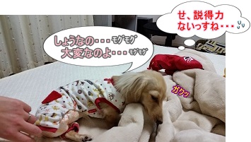 モグモグ
