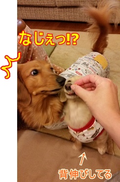 横取り