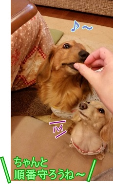 順番