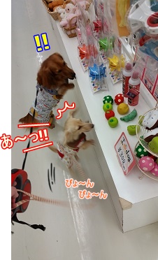 あっ!!