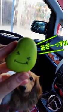 おまめちゃん