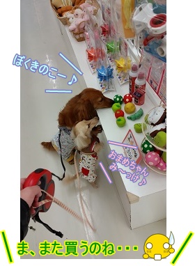お買い上げ