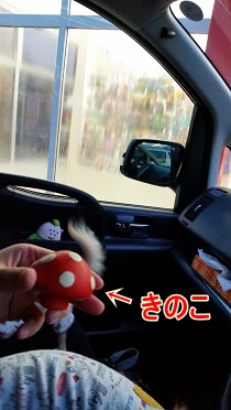 きのこ