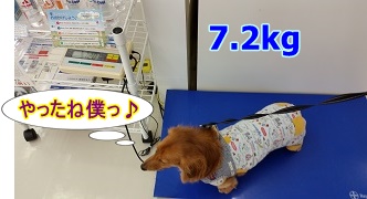 犬太郎体重測定